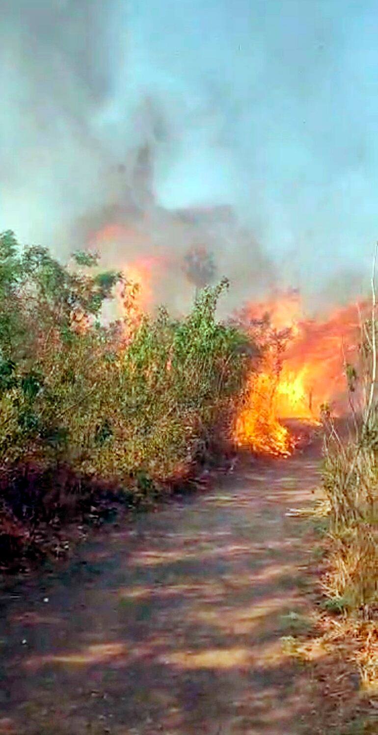 Las primeras bocas de fuego del lado paraguayo en la reserva Los Tres Gigantes.