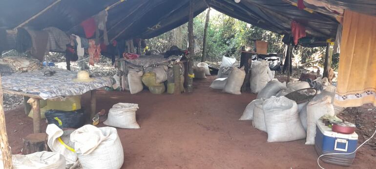 Campamento narco hallado en un inmueble ubicado en la colonia Aguara, distrito de Capitán Bado.