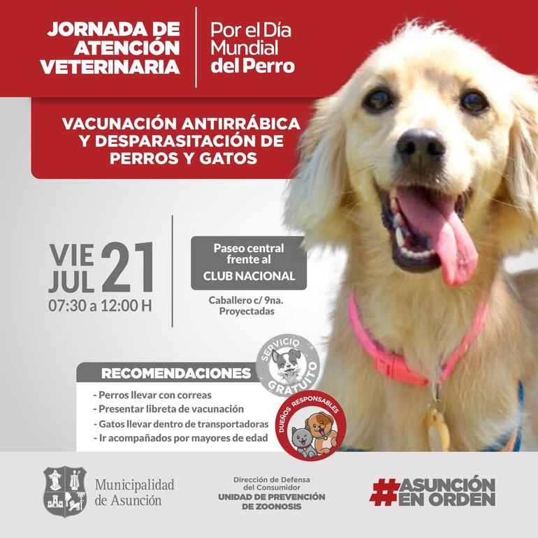 Por el Día del Perro, la Municipalidad de Asunción ofrecerá veterinaria gratis