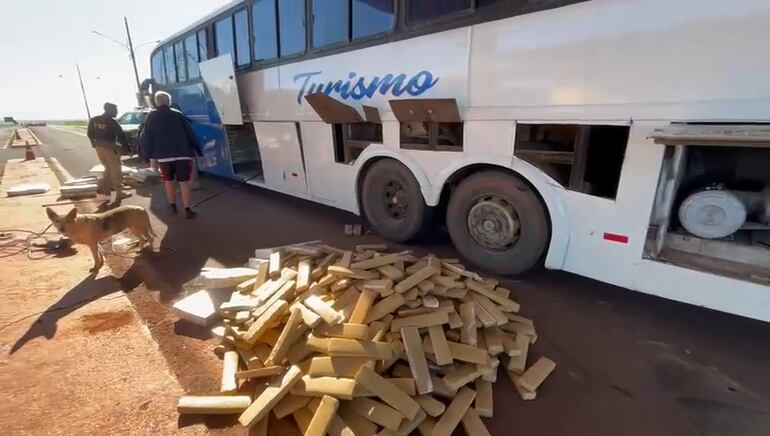 Más  de una tonelada de marihuana en bus de turismo.