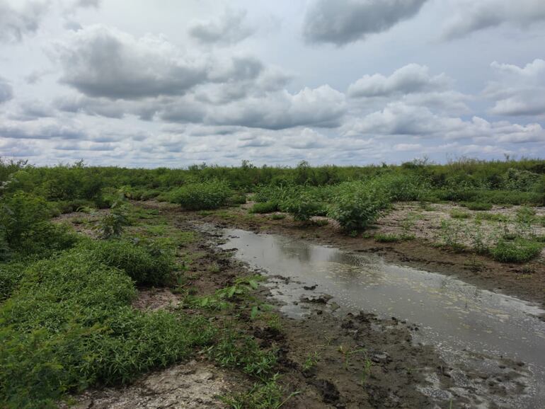 Foto gentileza del MOPC, de la zona hasta donde está el agua llegando las aguas del río Pilcomayo, pasando la zona de General Díaz.