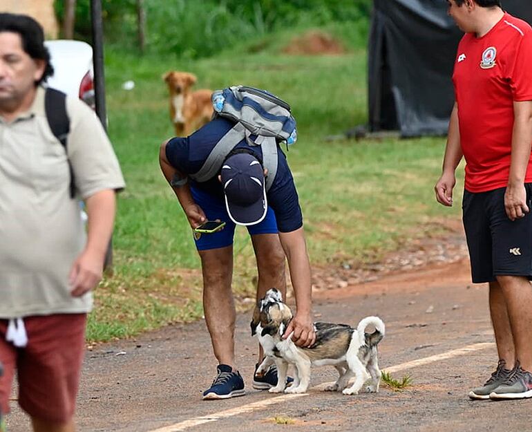 No es recomendable llevar a la peregrinación a nuestras mascotas, con temperaturas de 35 grados o más, es muy peligroso, pueden sufrir una deshidratación severa, incluso puede causarles la muerte.