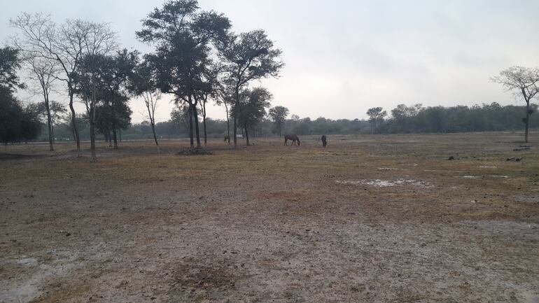 Las lluvias registradas en el Alto Paraguay ayudan a regar los secos campos de la zona.