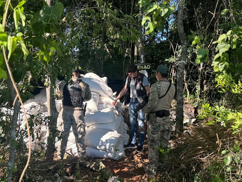 En la incursión hallaron dos hectáreas y media de plantación de marihuana en etapa de cosecha, además de 1.100 kilos de rama seca de marihuana y 3.550 kilos de marihuana picada.