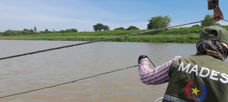 Técnicos del Mades y agentes de la Prefectura Naval incautan espineles de las aguas del río Paraguay.