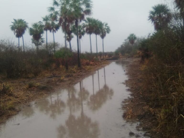 Las tormentas estarán presentes en Alto Paraguay durante esta jornada.