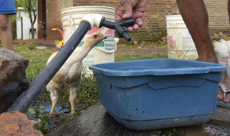 Arrecian quejas por la falta de agua