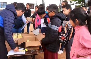 Cada uno de los más de 200 escolares de cinco escuelas de Yaguarón retiraron diez pollitos. En total fueron distribuidos 2.080 unidades de aves.