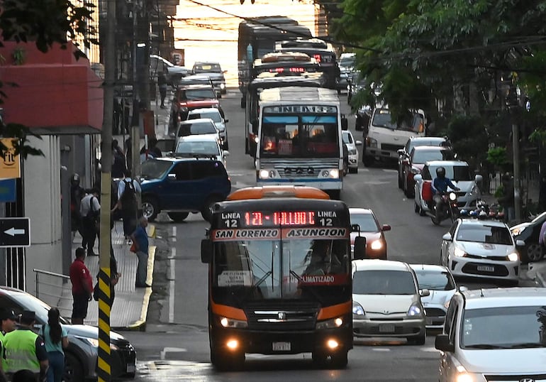 Buses en el área metropolitana.