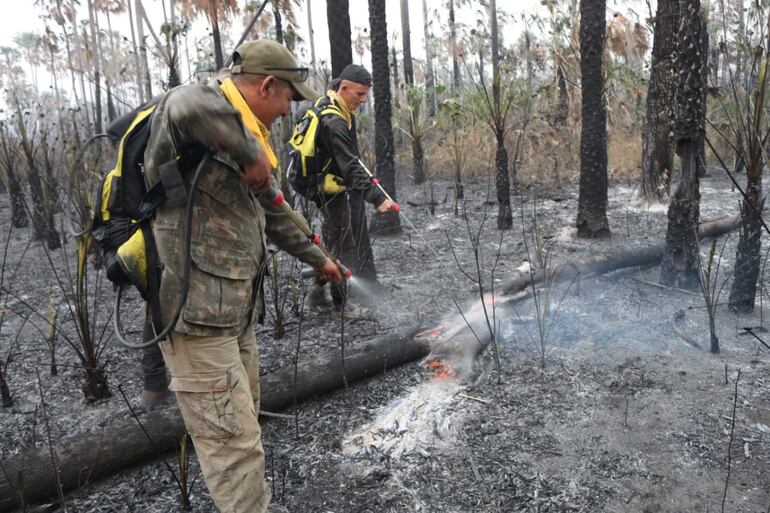 Incendios forestales afectaron en el 2019 al Alto Paraguay. La Gobernación dice haber invertido G. 500 millones en dichos trabajos, sin embargo los ganaderos lo desmienten.