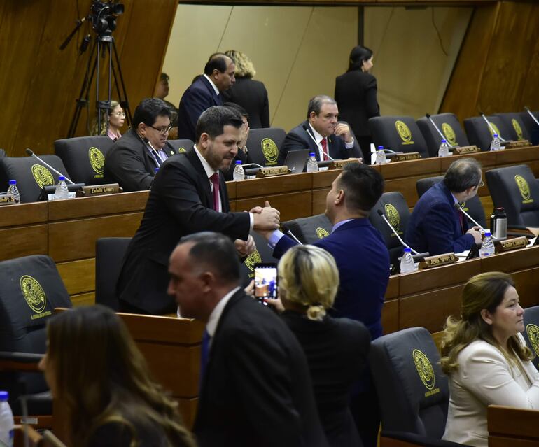 Sesión de la Cámara de Diputados.