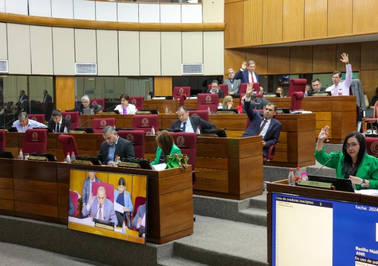 Senado aprobó el proyecto de presupuesto 2025 con modificaciones y devolvió a la Cámara de Diputados para una segunda vuelta de estudio (foto divulgada por el Senado).