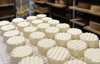 El queso es unode los alimentos más importantes y es uno de los productos que también se encuentra en la feria Agroshopping.