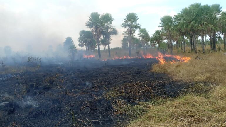 incendio forestal