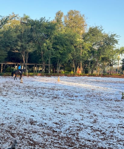 Unos 2.000 kilos de políester en la pista de la Sociedad Hípica Paranaense, mejorarán las condiciones del terreno, para las jornadas del sábado y domingo, en la Fecha 7 del Ranking.