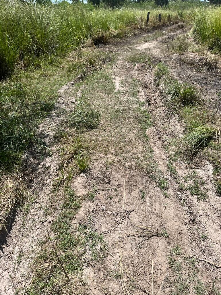 Camino por el que transitaron los afectados por la electrocución en Villeta.