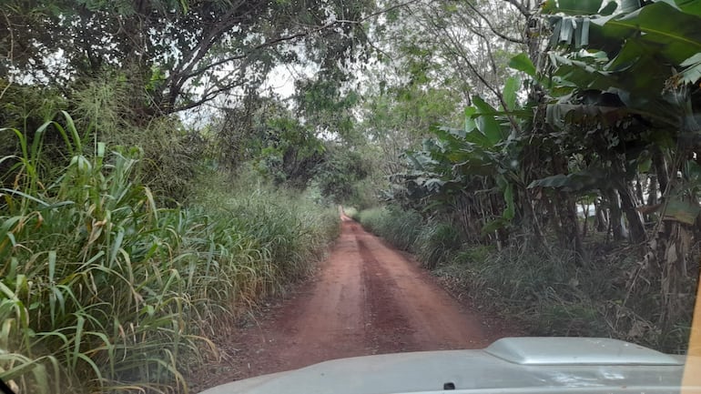 En la zona de Cerro 21 el tramo está tan intransitable que las malezas tomaron gran parte de la vía.