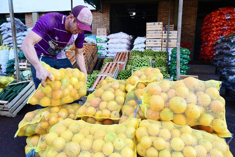 Productos de calidad a buen precio. La mayor variedad de productos frutihortícolas seleccionados, con calidad certificada, y a precios competitivos, se encuentra en los distintos bloques del Abasto Norte. Es más que un mercado.