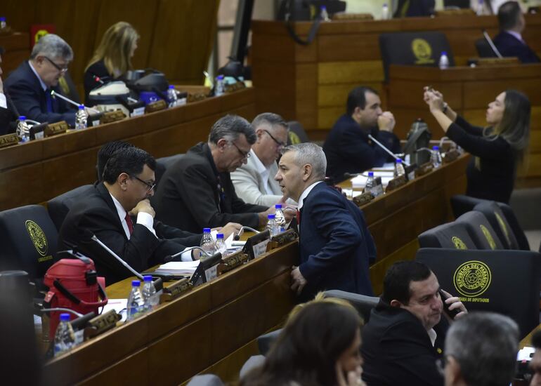 La Cámara de Diputados aprobó en general ayer la ley "orgánica penitenciaria".