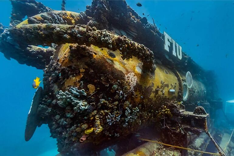 Fotografía cedida por la Universidad Internacional de Florida (FIU) donde se aprecia la base subacuática Aquarius ubicada en el Santuario Marino Nacional de los Cayos de Florida. La "implosión catastrófica" que sufrió el sumergible turístico Titán en su viaje hacia el naufragio del Titanic pudo ser el resultado del "lento y gradual debilitamiento del material de la cámara" por la alta presión exterior, tras anteriores inmersiones a gran profundidad, dijo este viernes a EFE Roger García.