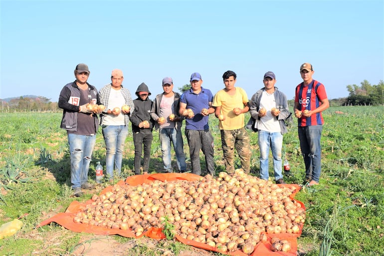 Los cosecheros de cebollas, también esperan que sus patrones consigan mercado para que puedan seguir trabajando en las fincas.