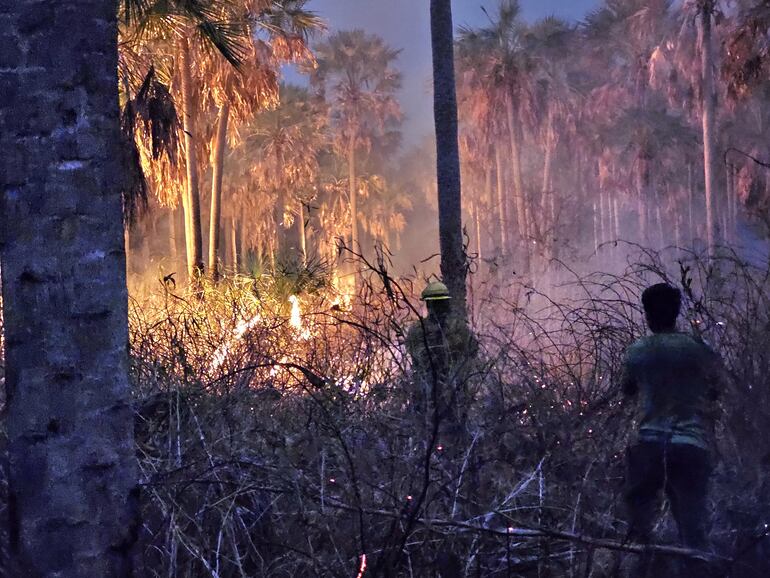 Durante toda la noche y madrugada, bomberos y peones de estancias, luchando contra los incendios.