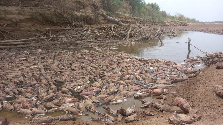 Según los pobladores y los ancianos de la comunidad es la segunda vez que ven el Pilcomayo así de seco. La falta de lluvias afecta también la cuenca alta y hace que el agua se vaya agotando en los canales.