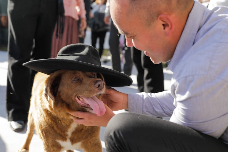 Leonel Costa juega con Bobi, cuando aún ostentaba el título de perro más viejo del mundo, en la fiesta de su supuesto cumpleaños número 31, en el villa rural de Conqueiros, Leiria, en Portugal.