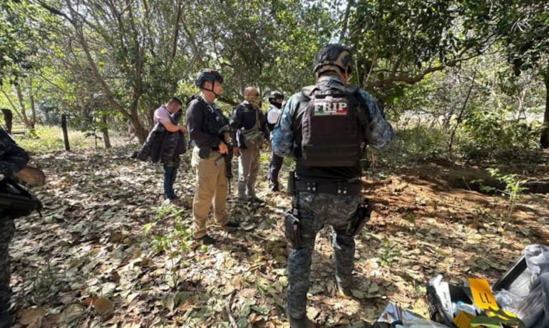 Los restos humanos de al menos 15 personas fueron localizados en fosas clandestinas en el sureste de México.