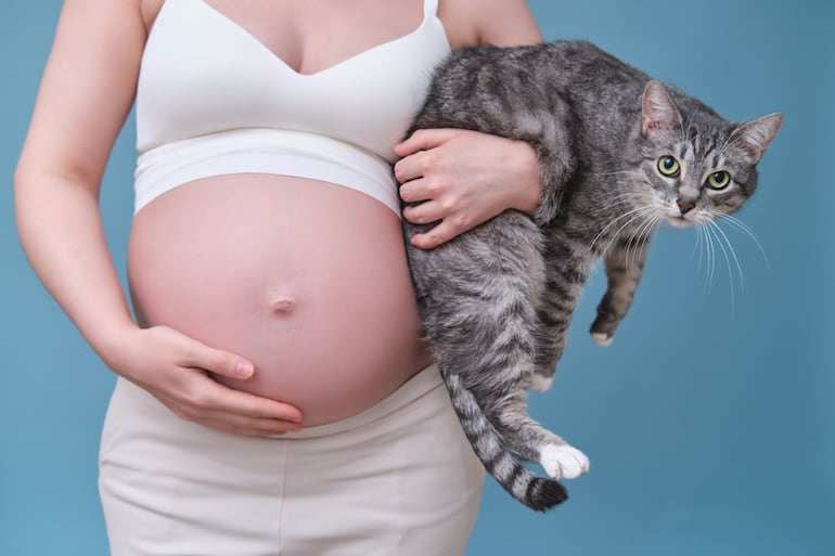 Mujer embarazada y gato.