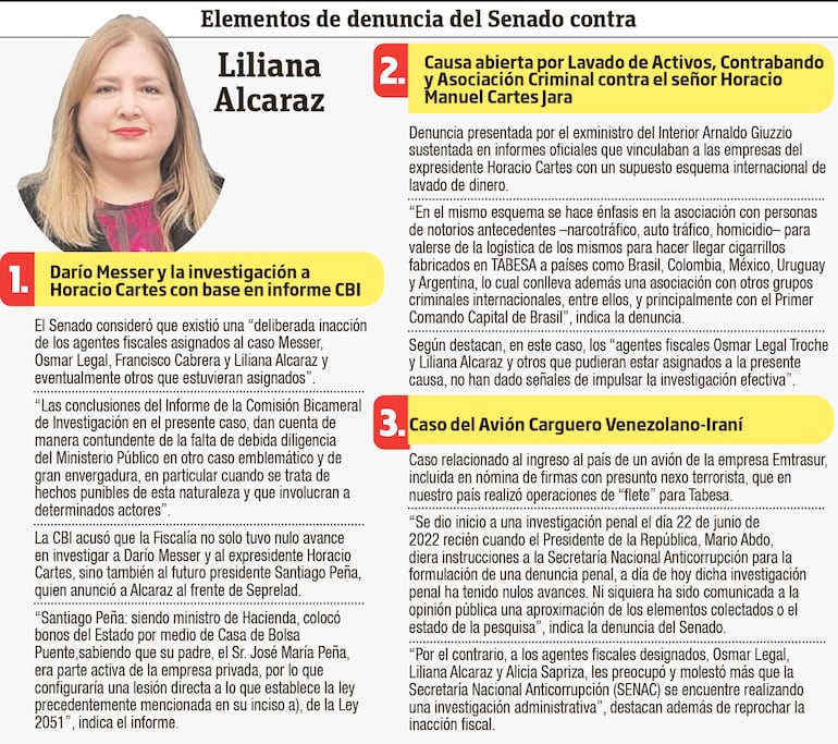 Extractos de la denuncia del Senado contra Liliana Alcaraz y otros fiscales.