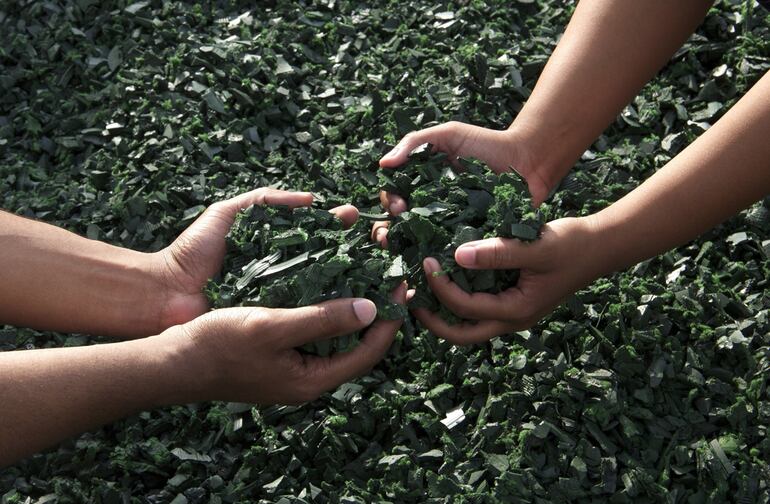 El trabajo de los recicladores contribuye a la reducción de la contaminación, a la conservación de recursos y a la creación de conciencia.