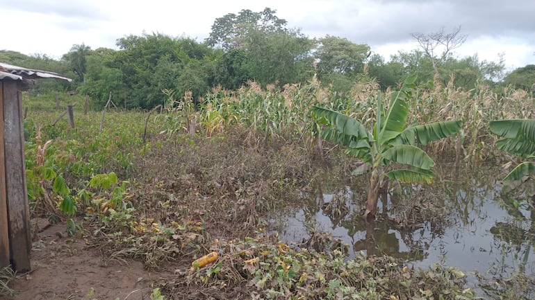 Inundación: “Bajó el agua, pero quedó el perjuicio”, dice pescador