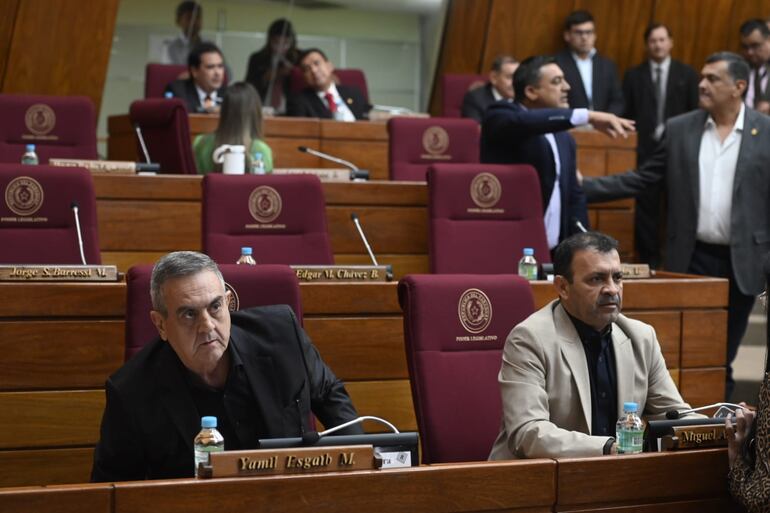 Diputado Yamil Esgaib (i) durante la sesión de la fecha.