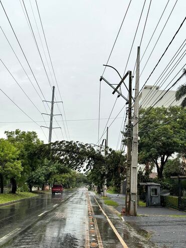 Árbol caído sobre cable de la ANDE.