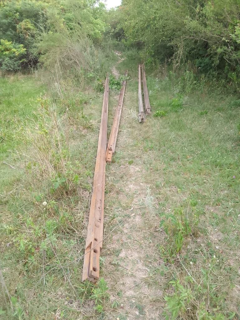 Se rescataron otros rieles que fueron sacados de lo que fue la vía del tren. 