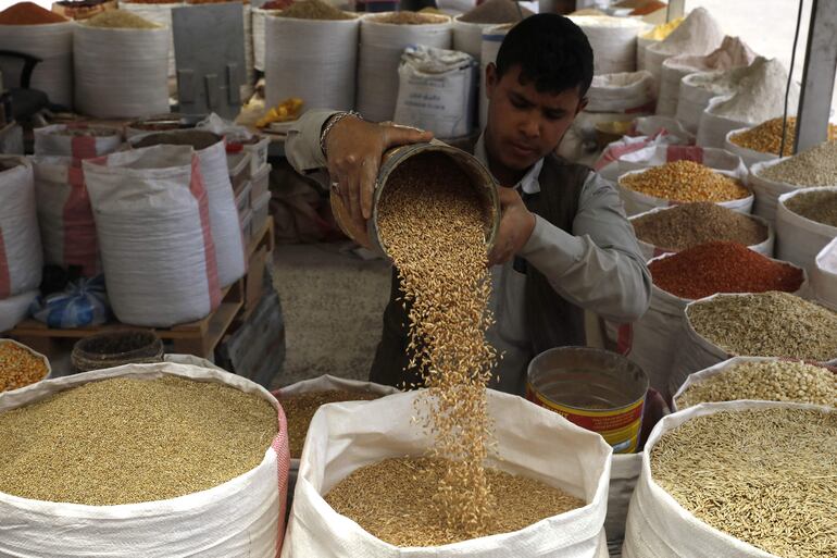 La crisis del grano por la guerra de Ucrania ha centrado esta semana la celebración de la Cumbre de las Naciones Unidas sobre “Sistemas Alimentarios +2″, que se clausuró hoy con nuevas peticiones para que Rusia retome los acuerdos del Mar Negro, que permitían la exportación de cereales y fertilizantes.