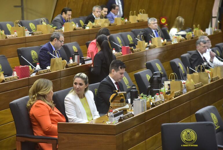 La Cámara de Diputados analiza dar la posibilidad de leer los discursos, algo que en la práctica algunos ya lo hacen frecuentemente.