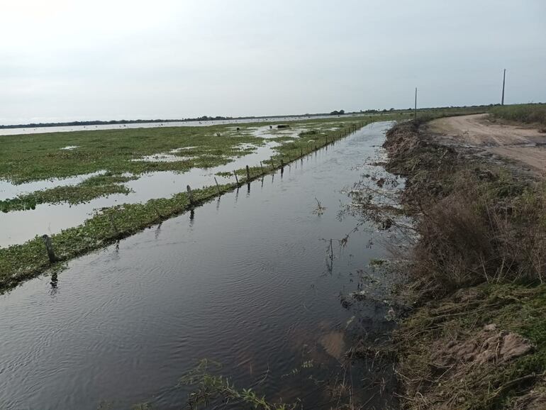 Los campos siguen inundados en Ñeembucú y la falta de pastura preocupa a los pequeños y medianos productores de ganados. Solicitan ayuda al MAG, que hasta ahora no responde.