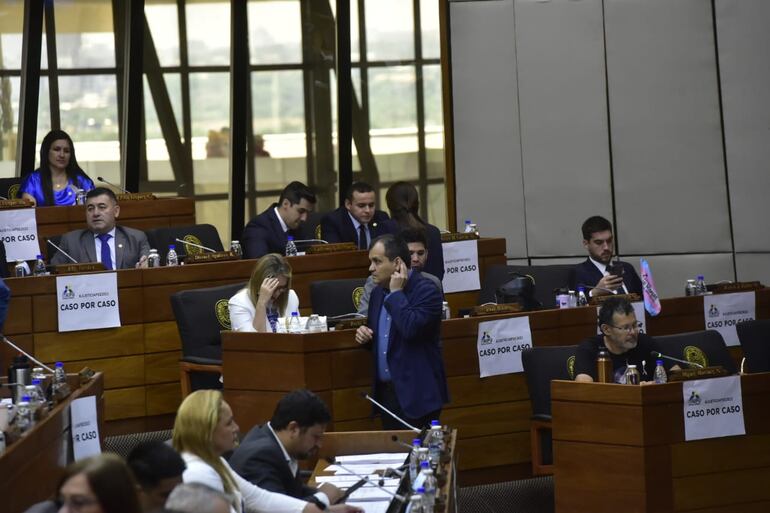 Diputados protestan con carteles en sus curules. "Itaipú: caso por caso".