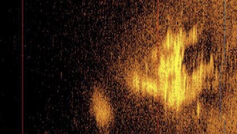 Esta imagen de sonar proporcionada por Deep Sea Vision publicada el 29 de enero de 2024 muestra un objeto con forma de avión que se cree que es el Lockheed 10-E Electra de Amelia Earhart descansando a unos 16.000 pies (4.875 metros) en el fondo del océano Pacífico.