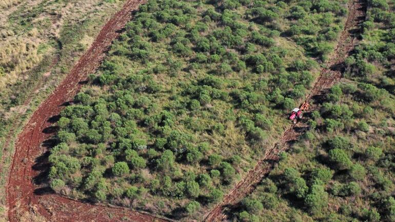 La destrucción de la Reserva San Rafael sigue imparable.