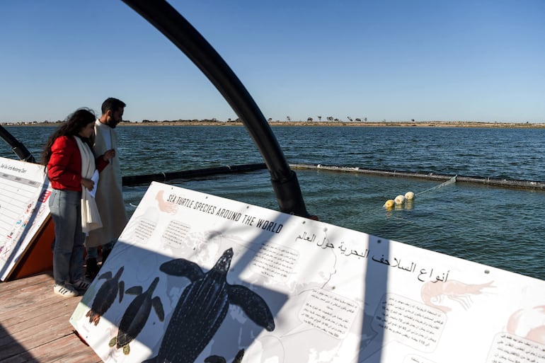 Personas visitan una barcaza de cuidado dedicada al tratamiento de tortugas marinas en la isla Kerkennah de Túnez.