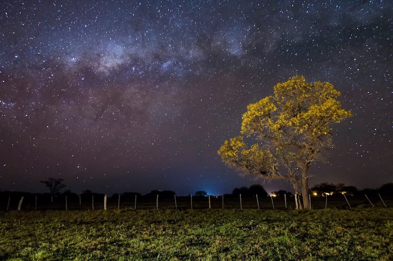 Chaco - Foto de Brandon Giesbrecht