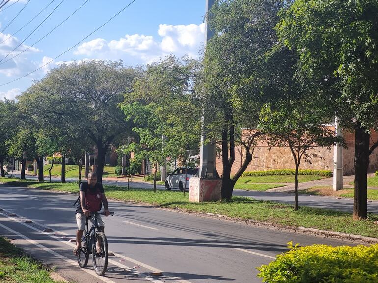 Un ciclista pedalea por la ciclovía de la avenida Primer Presidente.