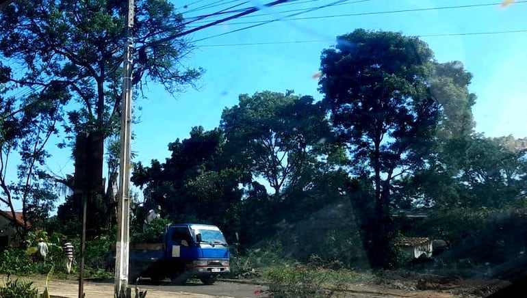 Trabajo de poda y talado de árboles en la residencia del futuro obispo de Caazapá. Un grupo de pobladores de esta capital departamental expresó su desacuerdo con la tala de árboles nativos en un terreno céntrico, destinado a la futura residencia del obispo de la diócesis de Caazapá, que ya fue creada. El párroco de la Iglesia San Pablo de esta localidad informó que cuentan con la autorización de la comuna local y que ya fueron cultivados 70 plantines como compensación para mitigar el impacto ambiental.