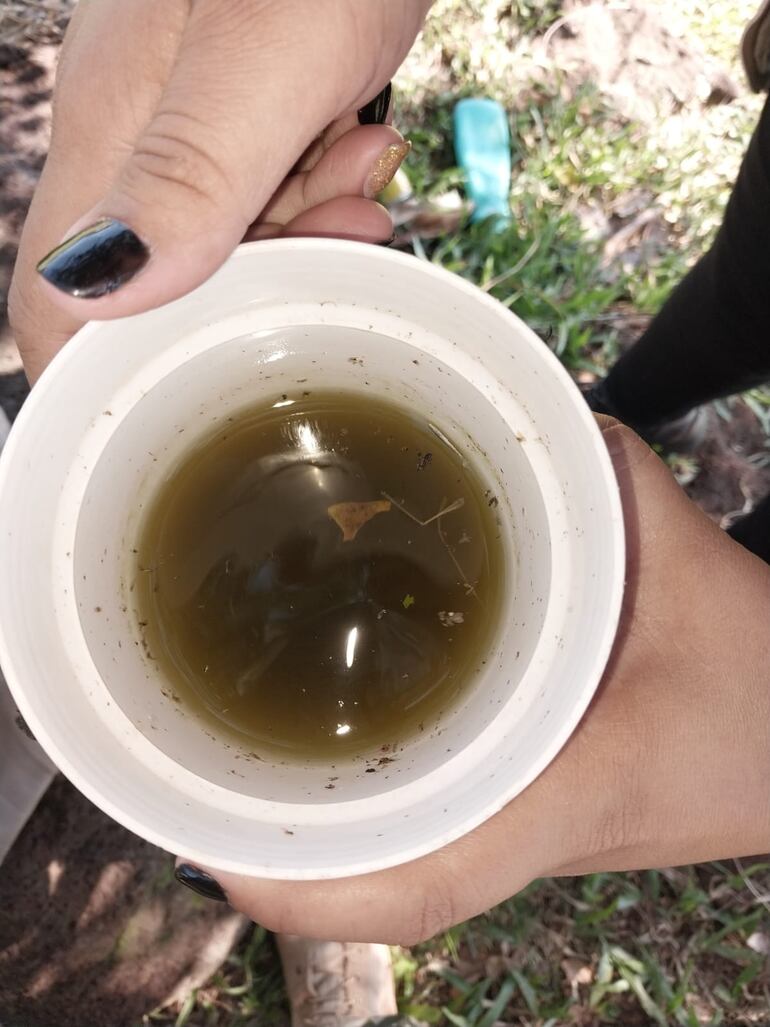 Florero con agua infestado de larvas de mosquitos hallado en Arroyo Porä, durante la minga ambiental desarrollada hoy en el distrito de Cambyretä.