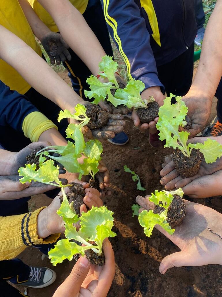 Arroyos y Esteros: comunidad emprendedora apunta a fortalecer la agricultura sostenible en los jóvenes