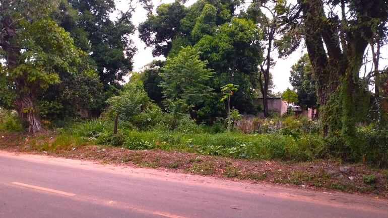 Vecinos del barrio Santo Domingo piden la limpieza de una vivienda abandonada y saturada de malezas.