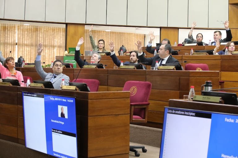 Pleno de la Cámara de Senadores aprobando el proyecto de declaración.